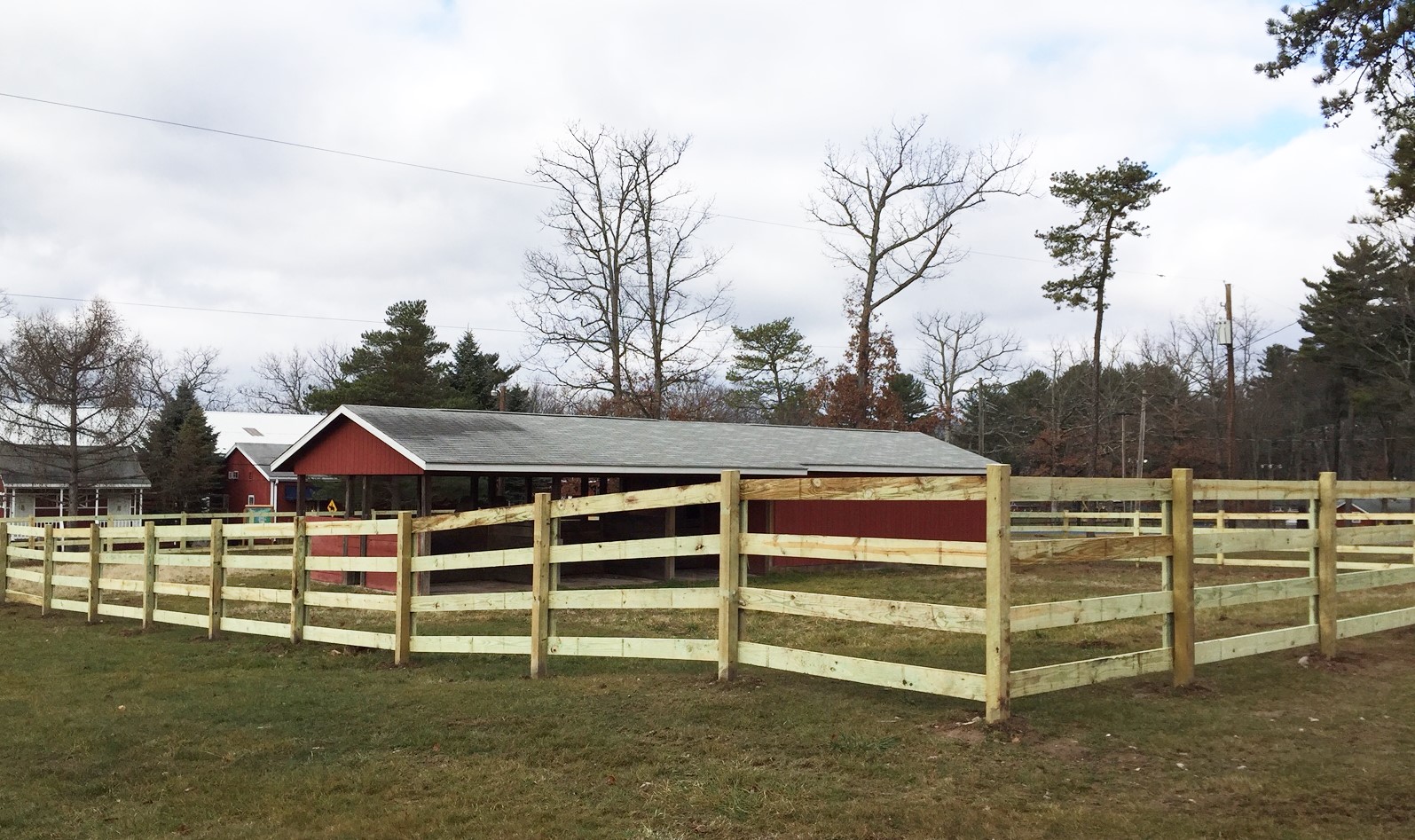 A new stable fence for the horses.