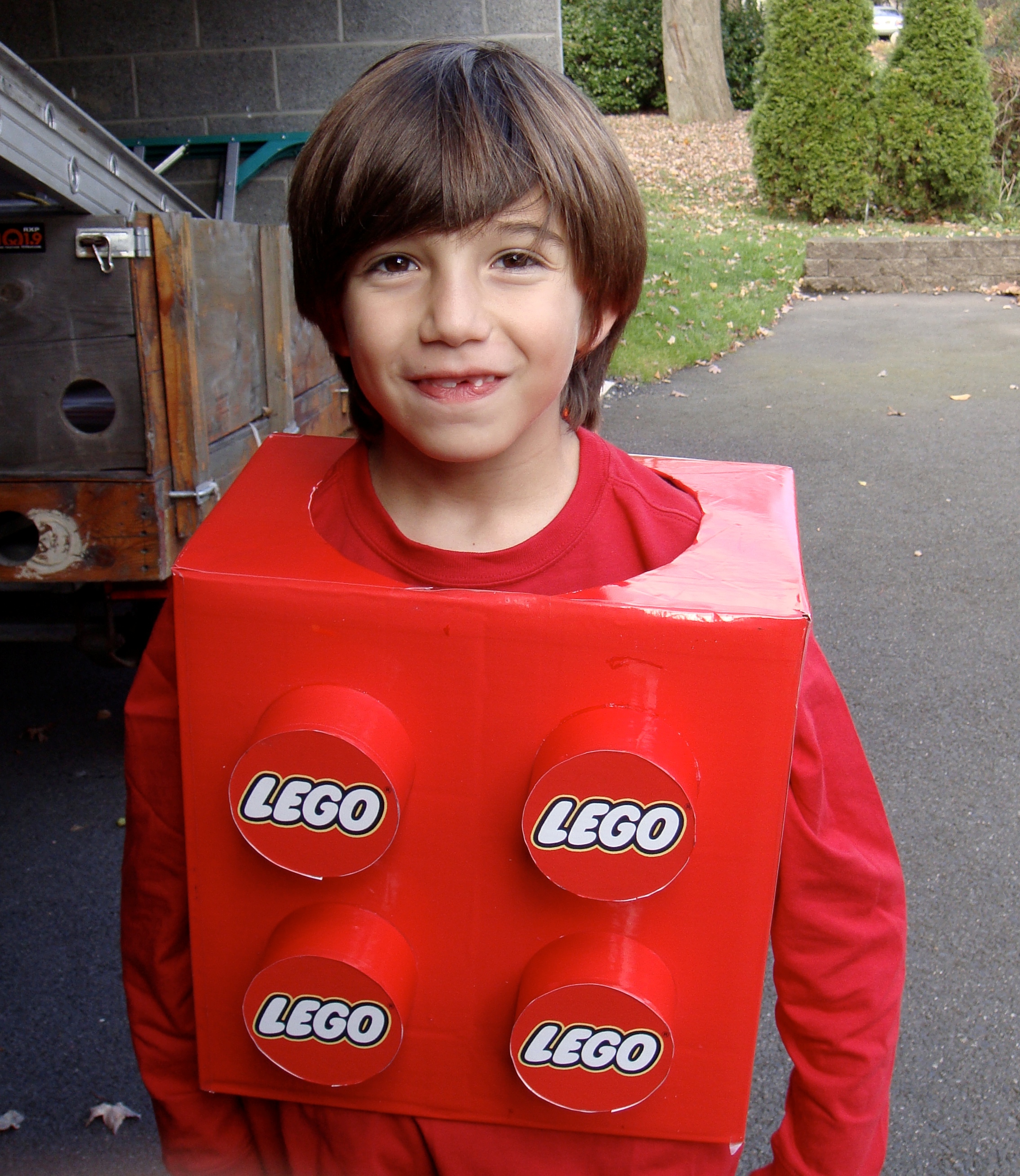 Dylan as a Lego.  