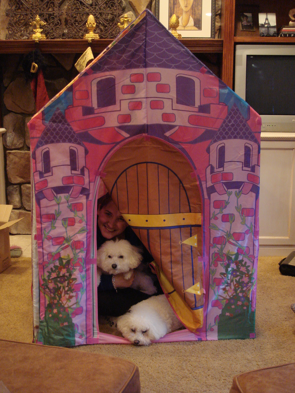 Me and my puppies, Leo and Bella, hanging out in the princess fort!